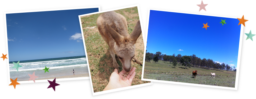 オーストラリアのゴールドコーストにて。ビーチ、カンガルー、カントリー